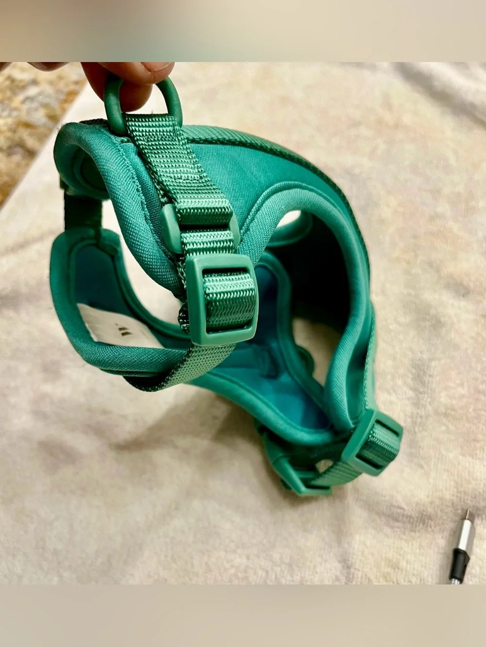Wild One Harness 2.0 - X-Small - Spruce 4 NEW